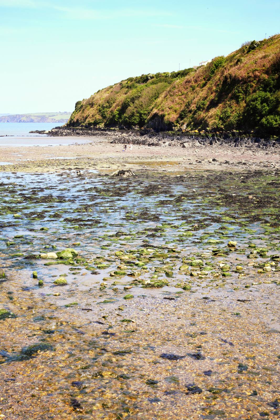 Fishguard Bay, Pembrokeshire Wales UK a popular Welsh coastline  by ant