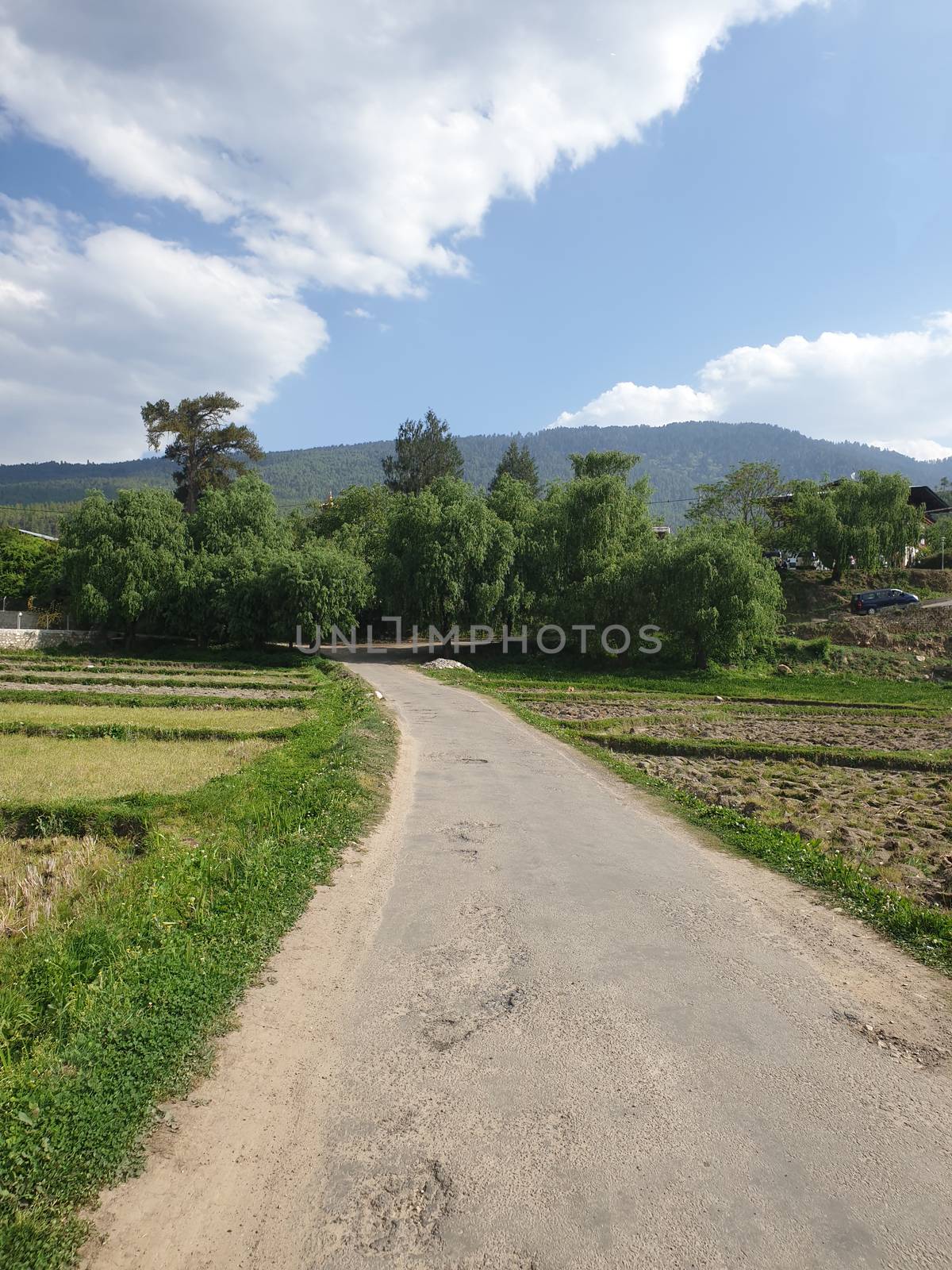 A beautiful countryside road in the Himalayas, in the country of Bhutan.