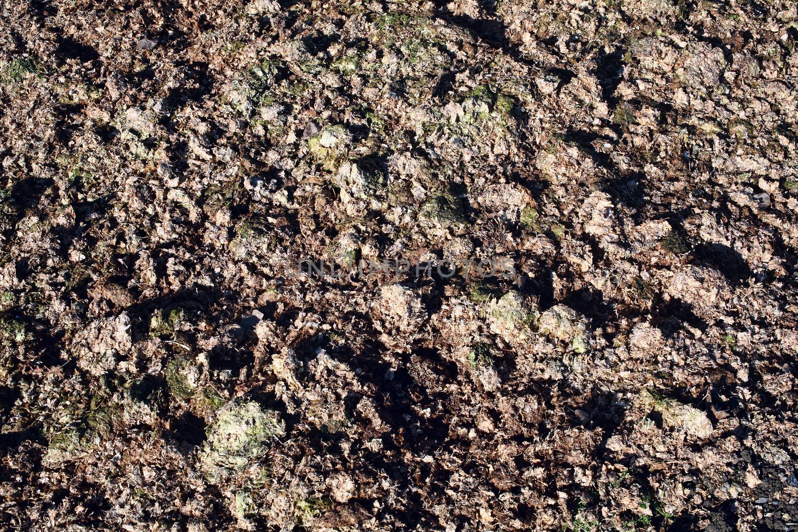 Background texture of horse manure compost added to the soil as  by ant