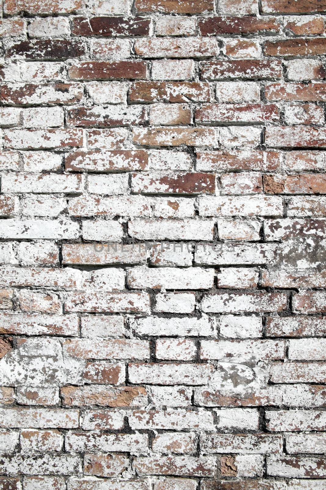 Old large red brick wall background distressed with white paint by ant