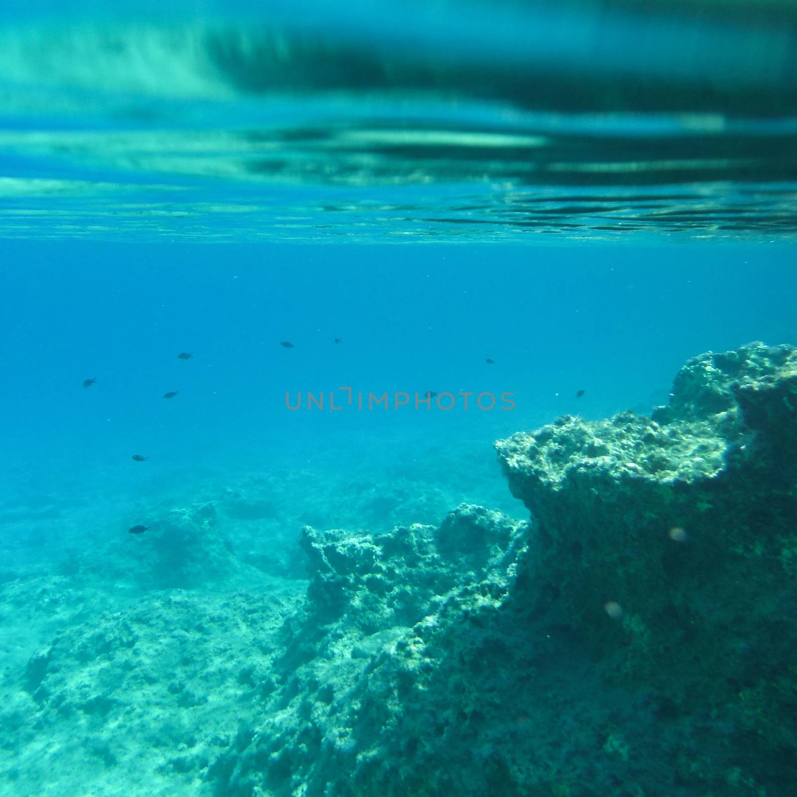 Greece Underwater Life by Kartouchken