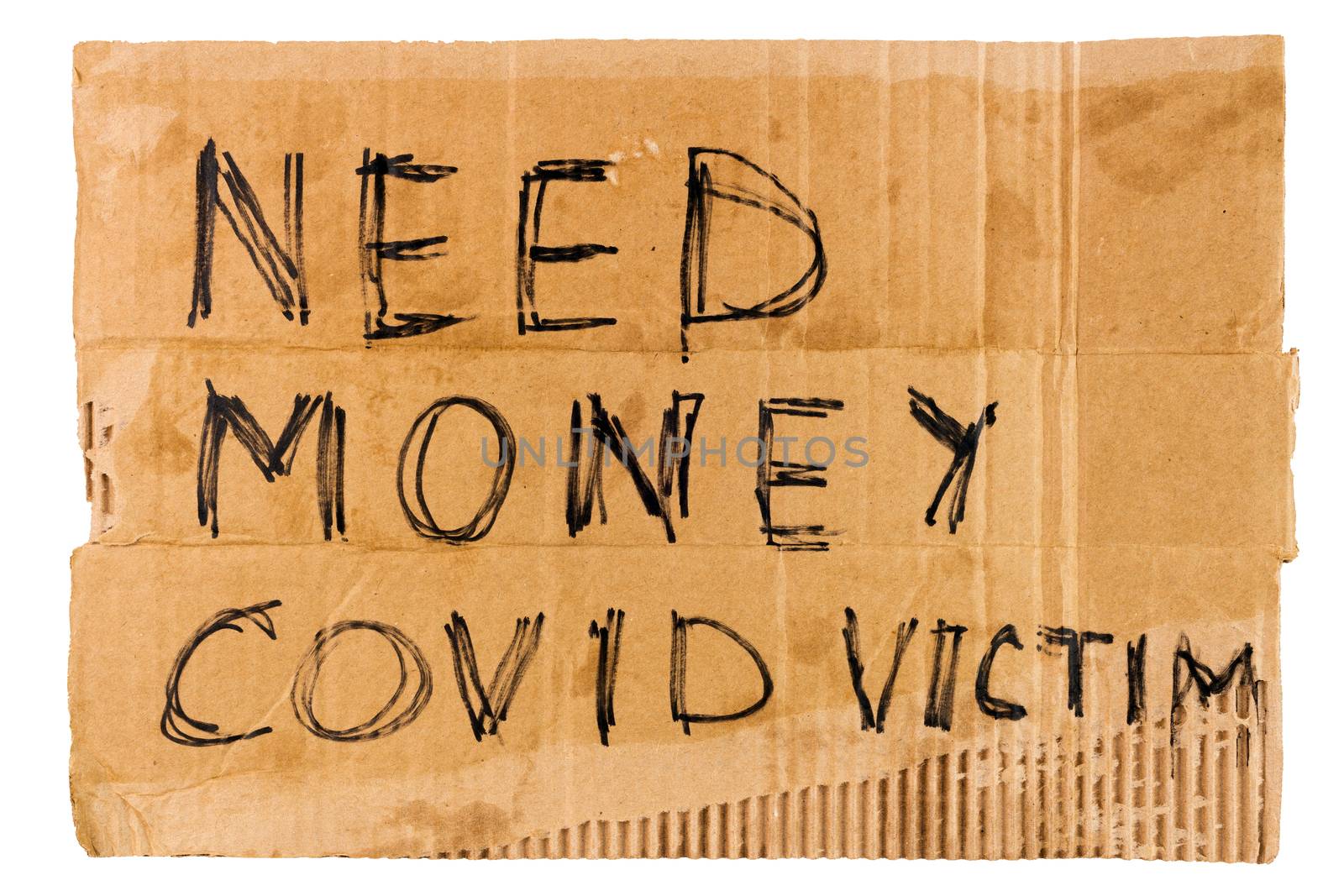 words need money covid victim handwritten on rectangular flat sheet of cardboard - homeless placard, isolated on white background by z1b