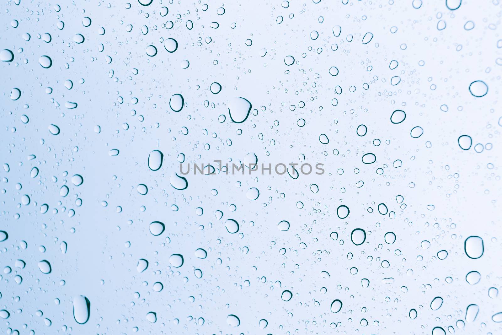 Water drops , rain drops on glass