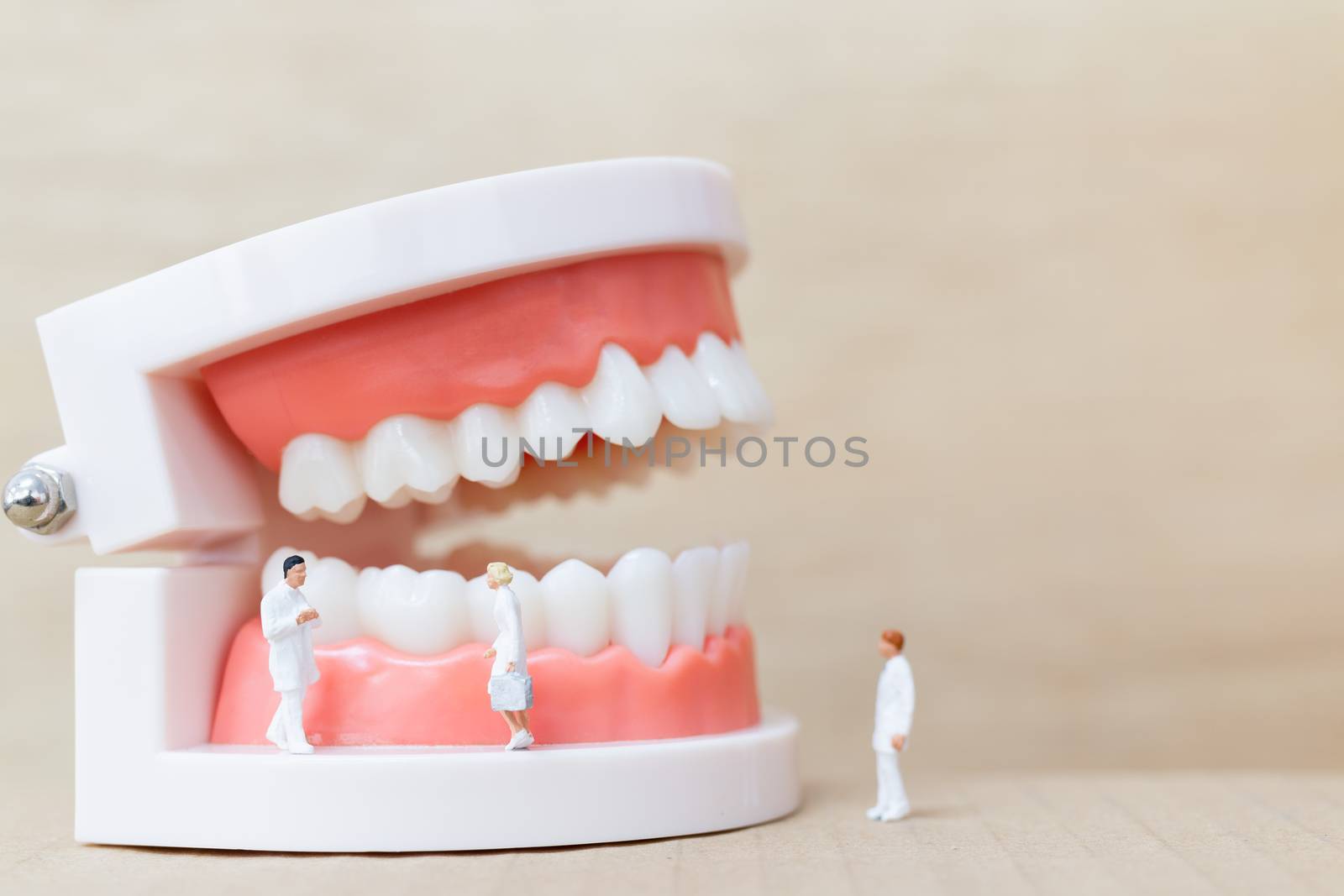Miniature people : dentist and nurse observing and discussing about human teeth with gums and enamel