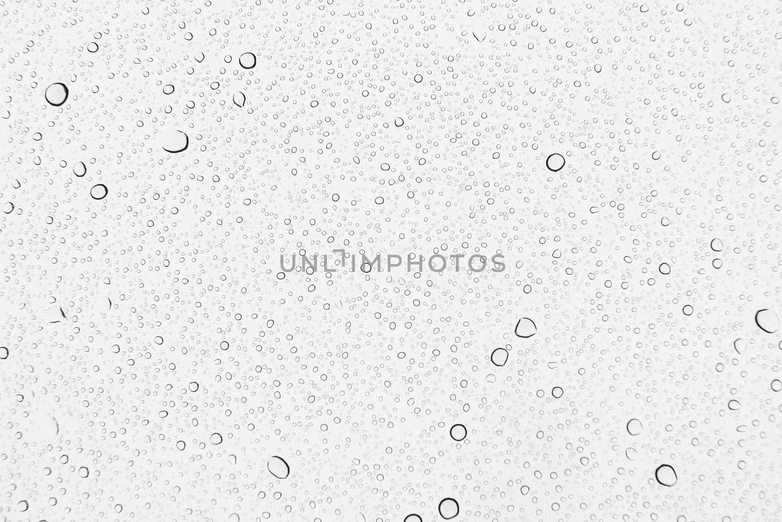 Water drops , Rain drops on glass background