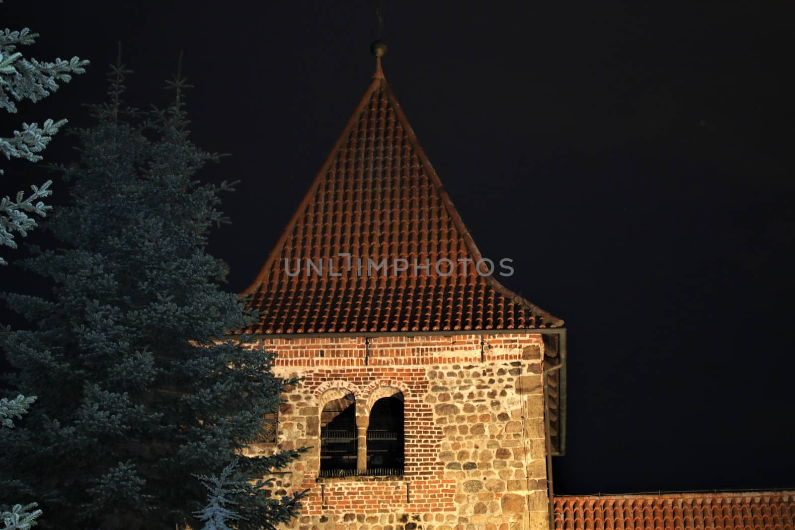 A church in the evening with fir trees in the foreground