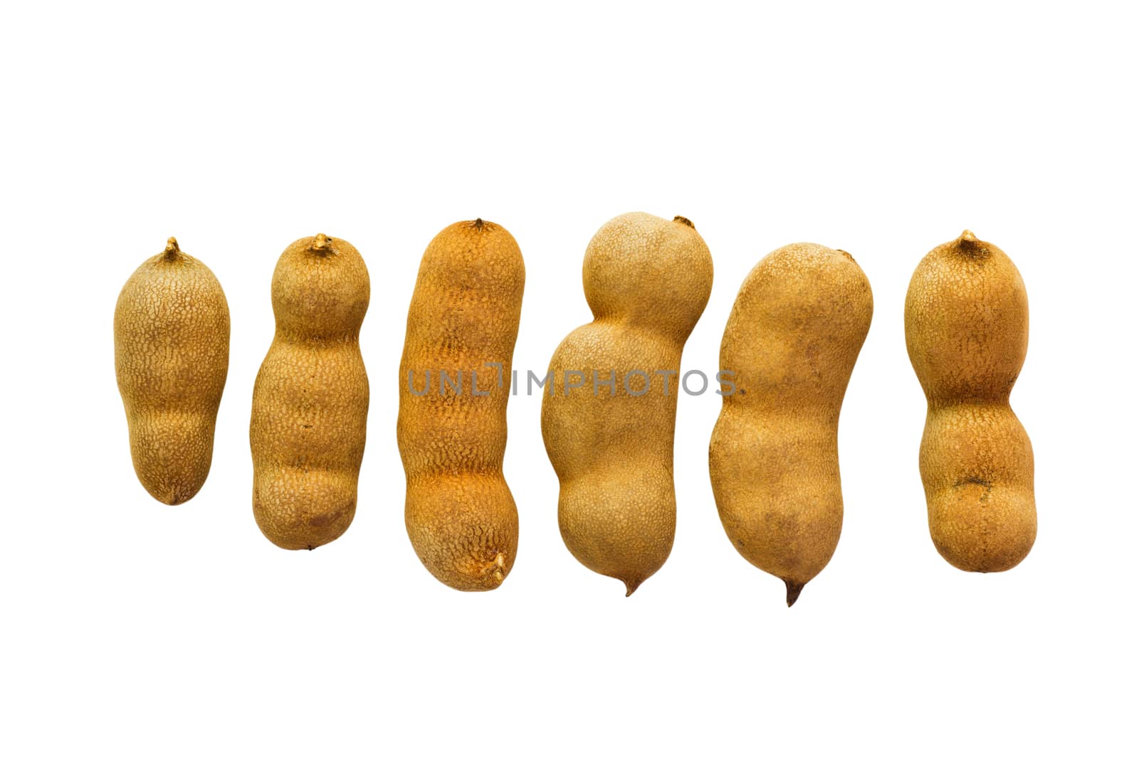 Tamarindus indica known as Tamarind isolated on white background and clipping path