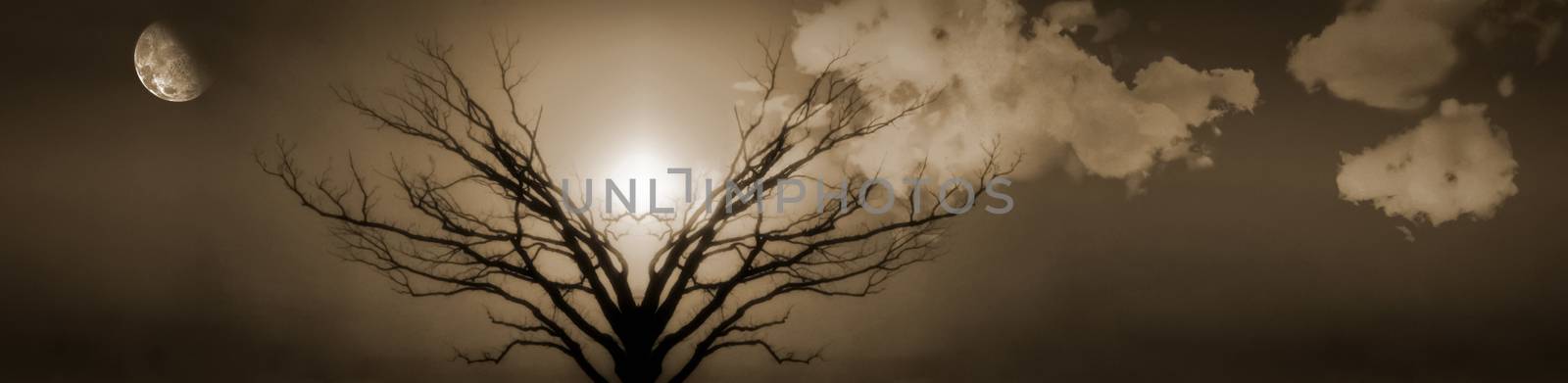 Mystic Tree of Life. Moon in Cloudy Sky. Sunset or Sunrise. 3D rendering