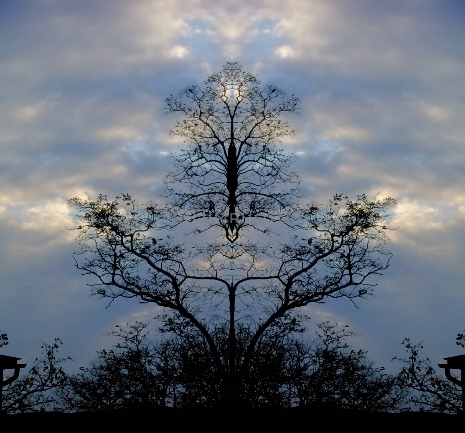 Surreal trees by applesstock