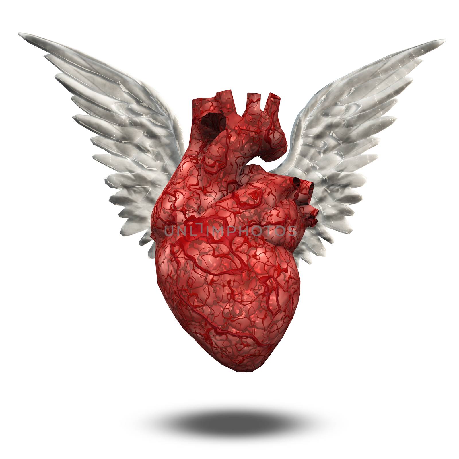 Human heart with white wings