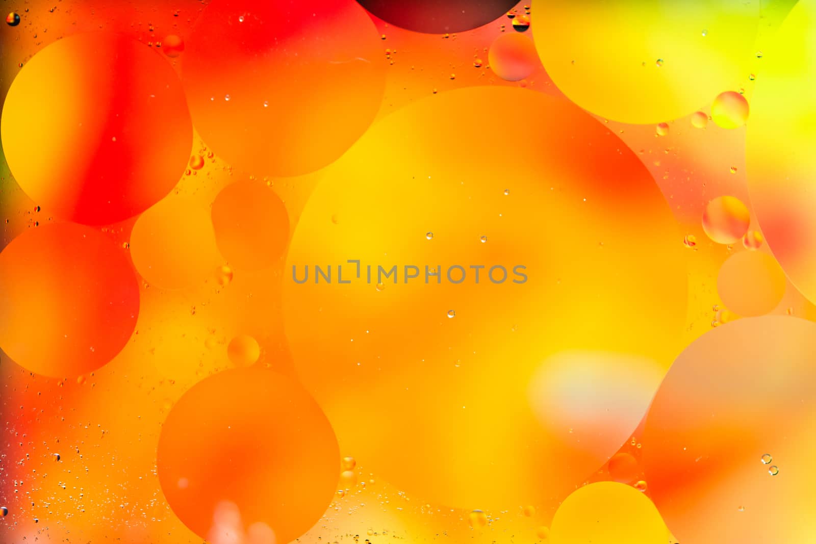 Circle Oil & Water Abstract Colorful Macro Background