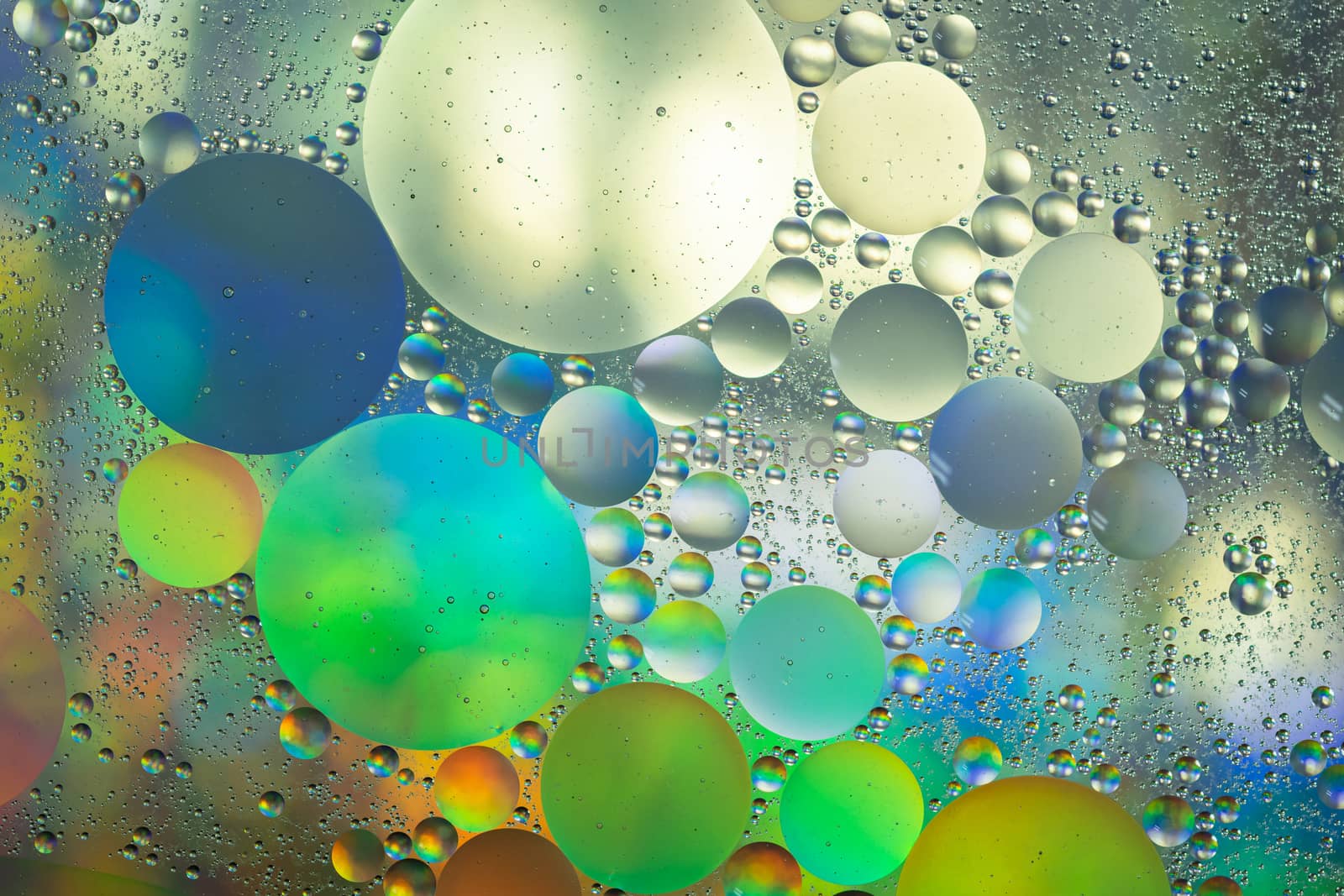 Circle Oil & Water Abstract Colorful Macro Background