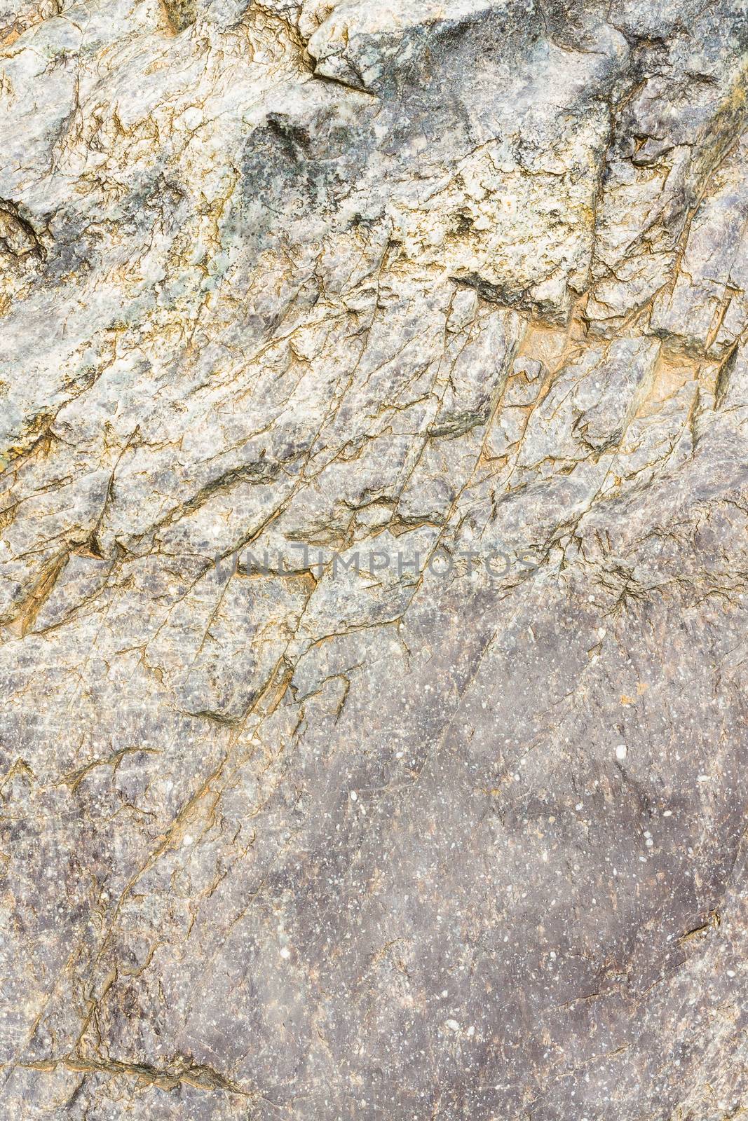 Close Up of Rock texture background