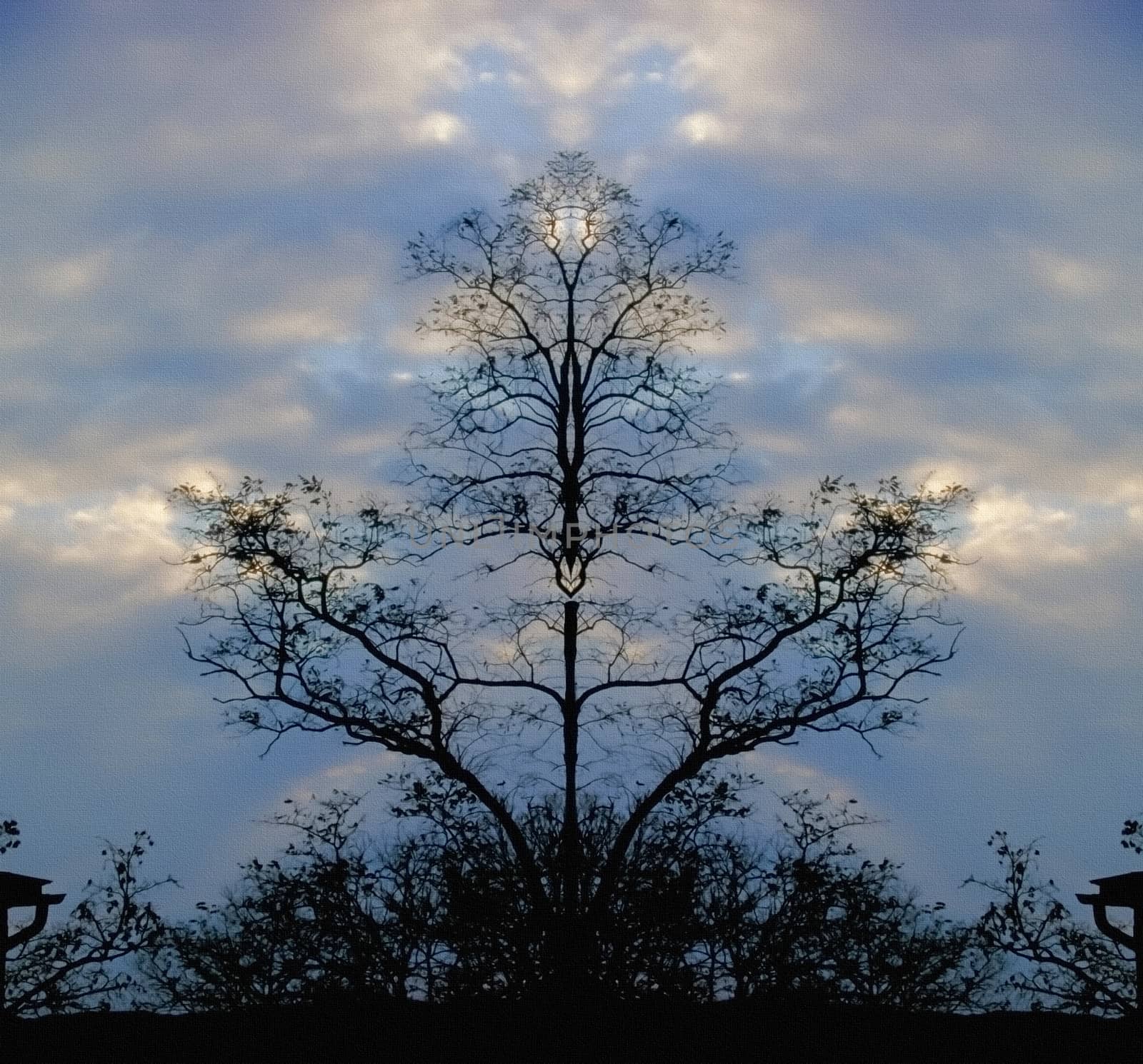 Surreal trees at the dusk. Cloudy dark sky