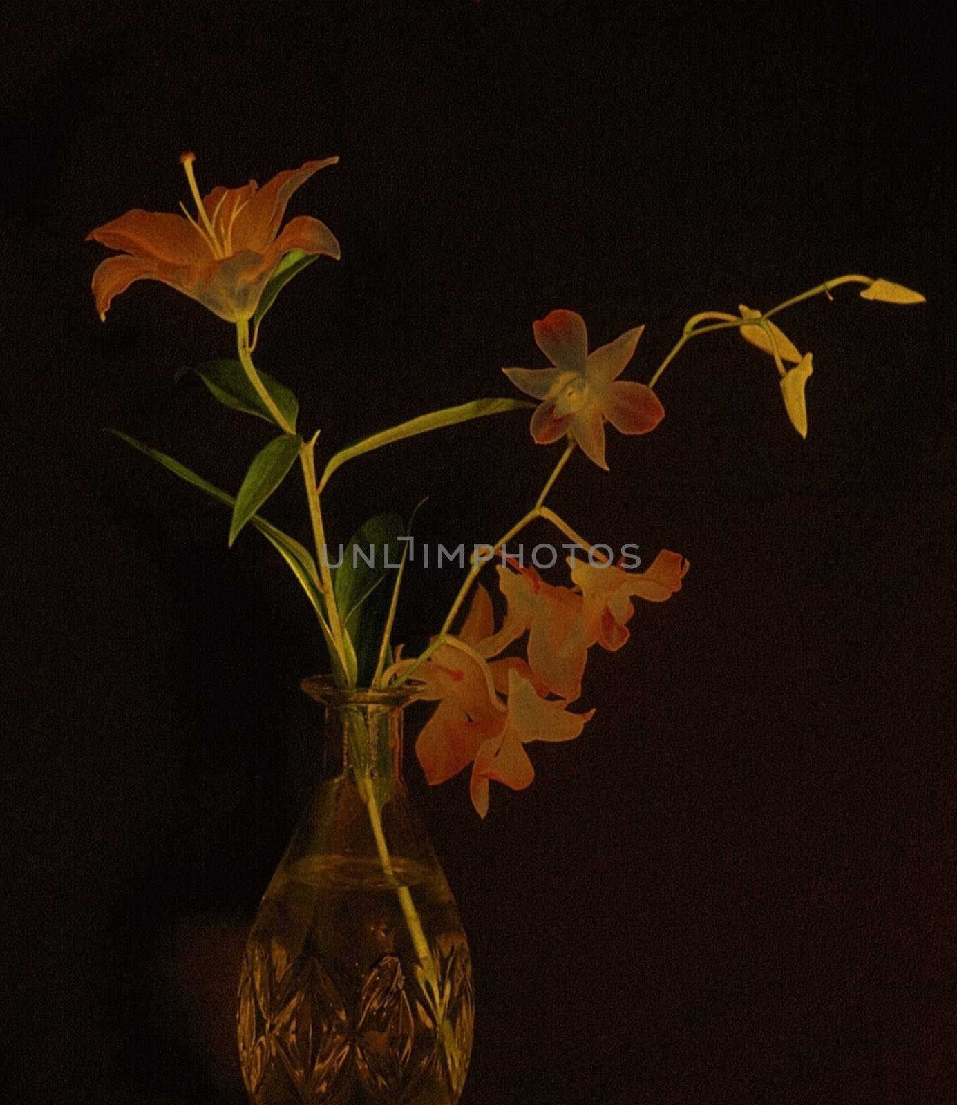 Flowers in vase. Black background