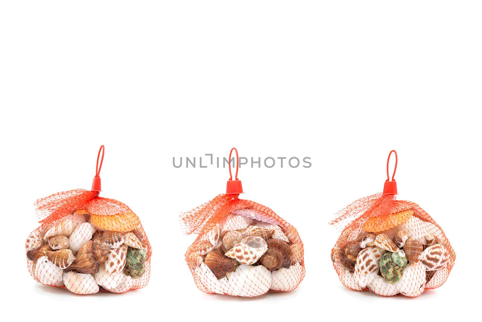 Sea shell in red net on white background 