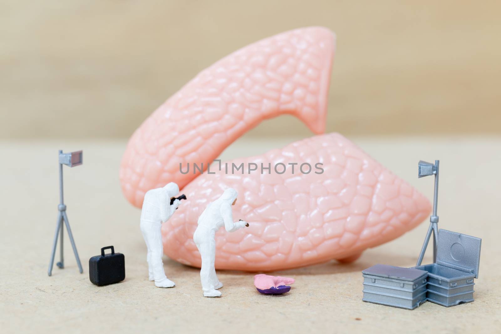 Miniature people , Scientist observing and discussing about human lungs , Virus and bacteria infected Concept