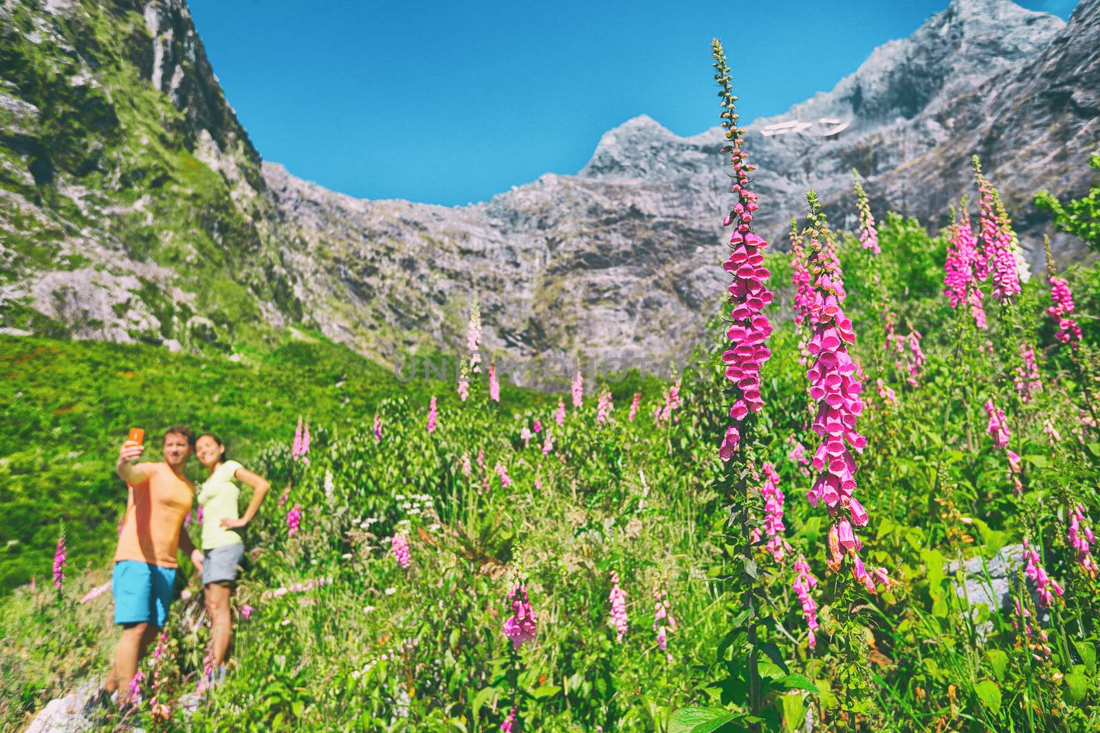New Zealand trampers tourists taking selfie photo with camera phone in lupins flowers mountains background on summer road trip. Happy camping couple walking in nature taking pictures in New Zealand by Maridav