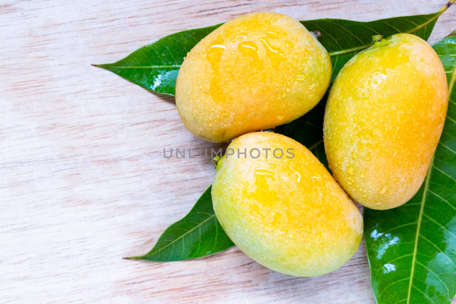 Close up Wild mango on wooden background