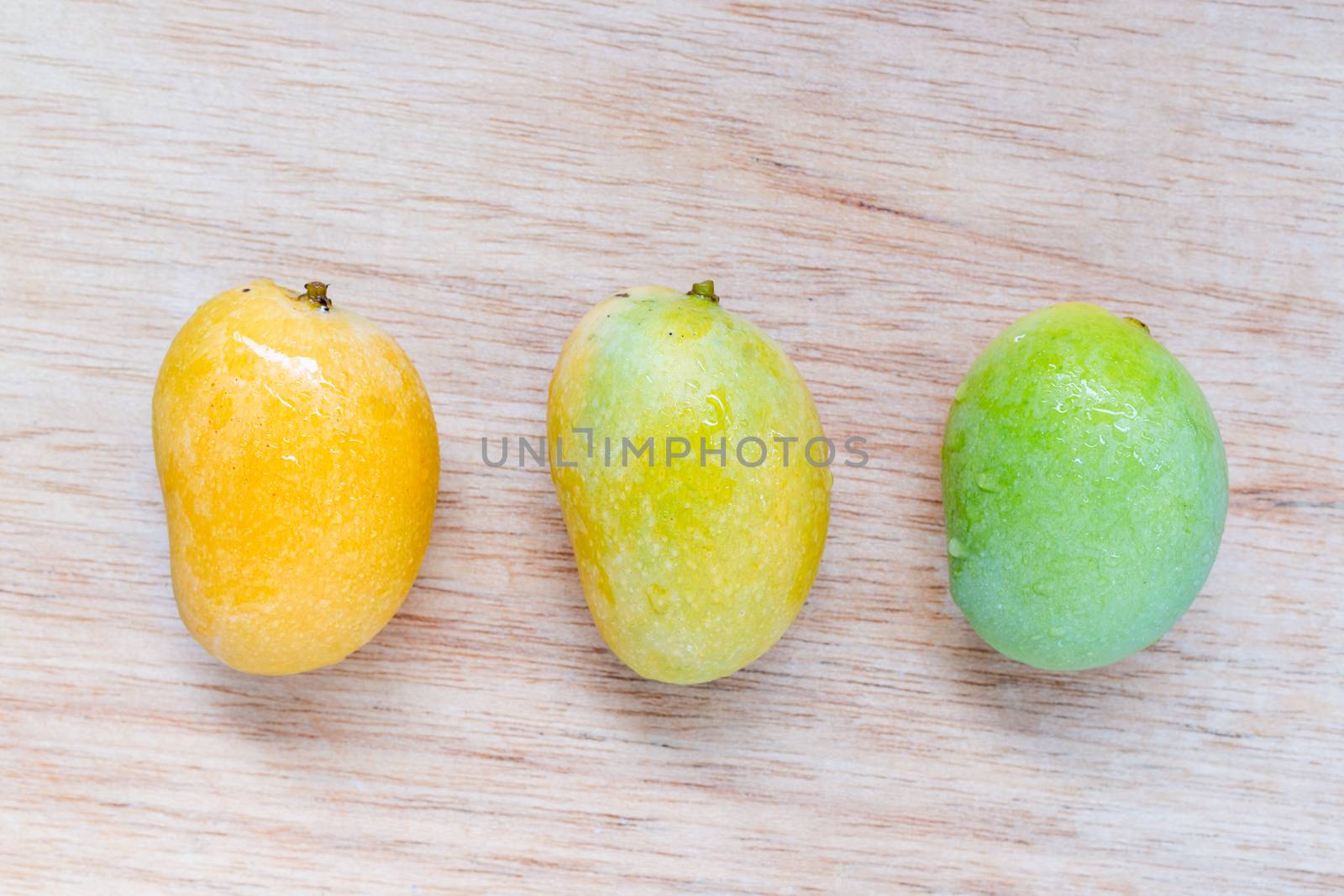 Close up Wild mango on wooden background
