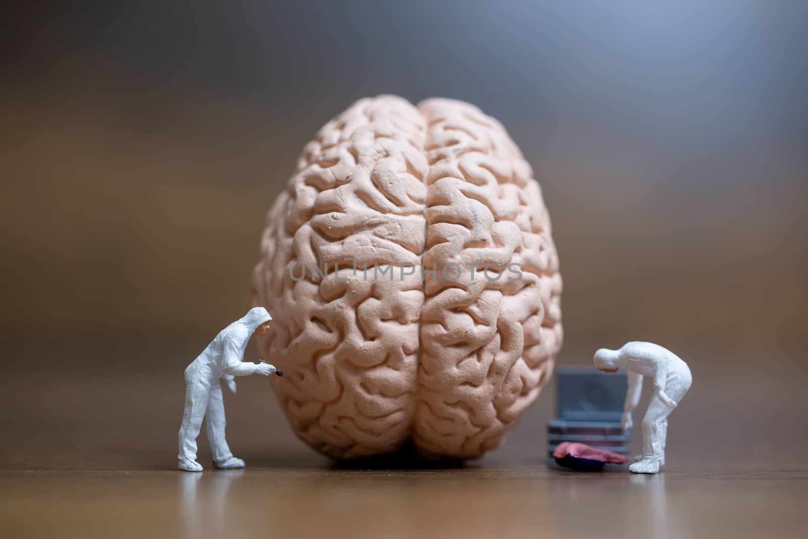 Miniature people , Scientist observing and discussing about human brain , Medical healthcare and surgical doctor service concept.