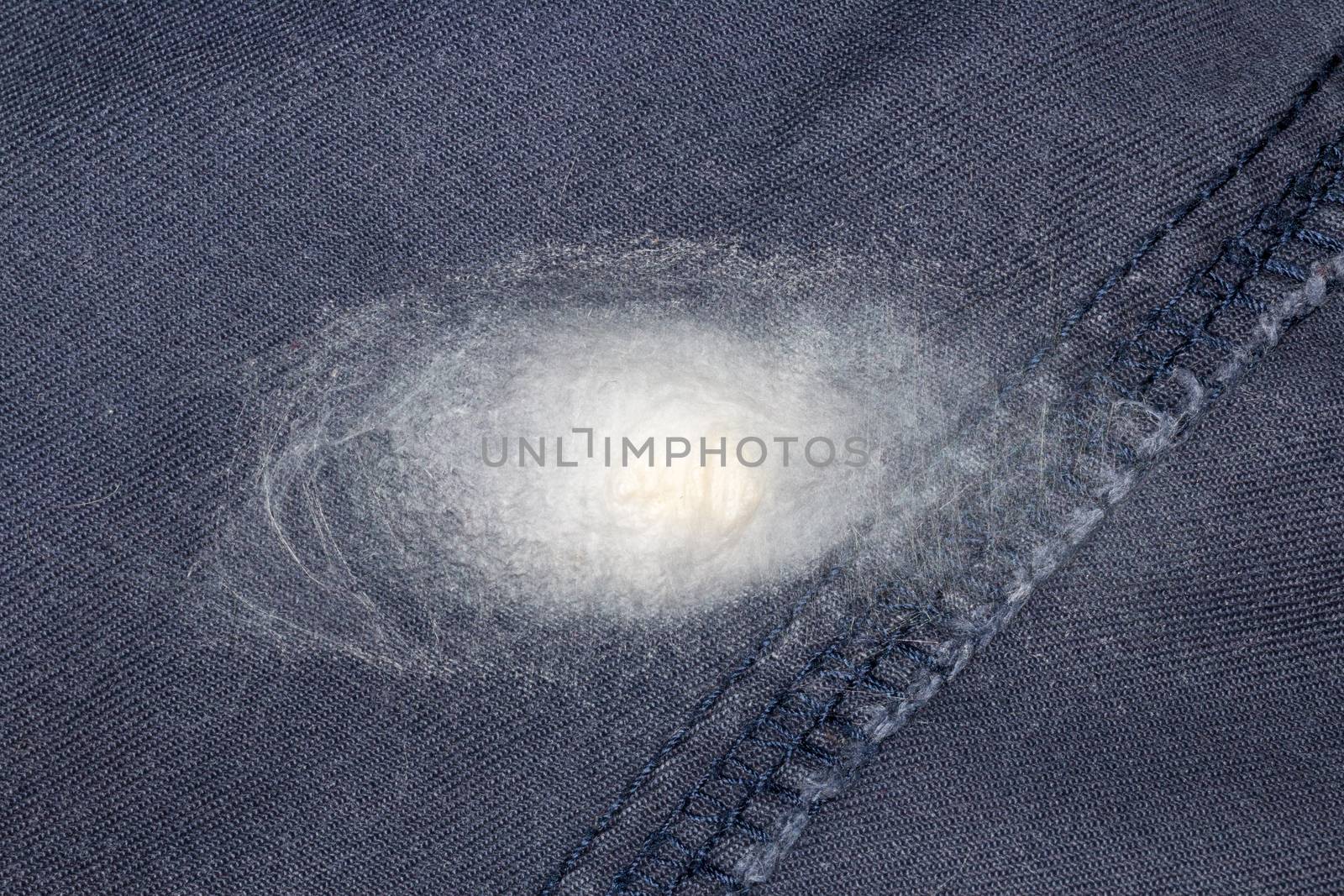 Spider eggs and egg sacs on navy blue fabric