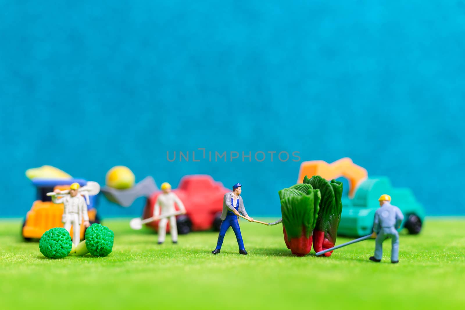 Miniature people : Farmers harvesting a vegetables , Agriculture concept