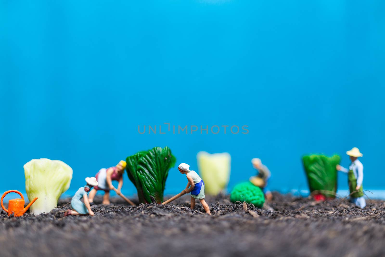 Miniature people , Gardeners Harvesting a vegetables , Agricultural concept