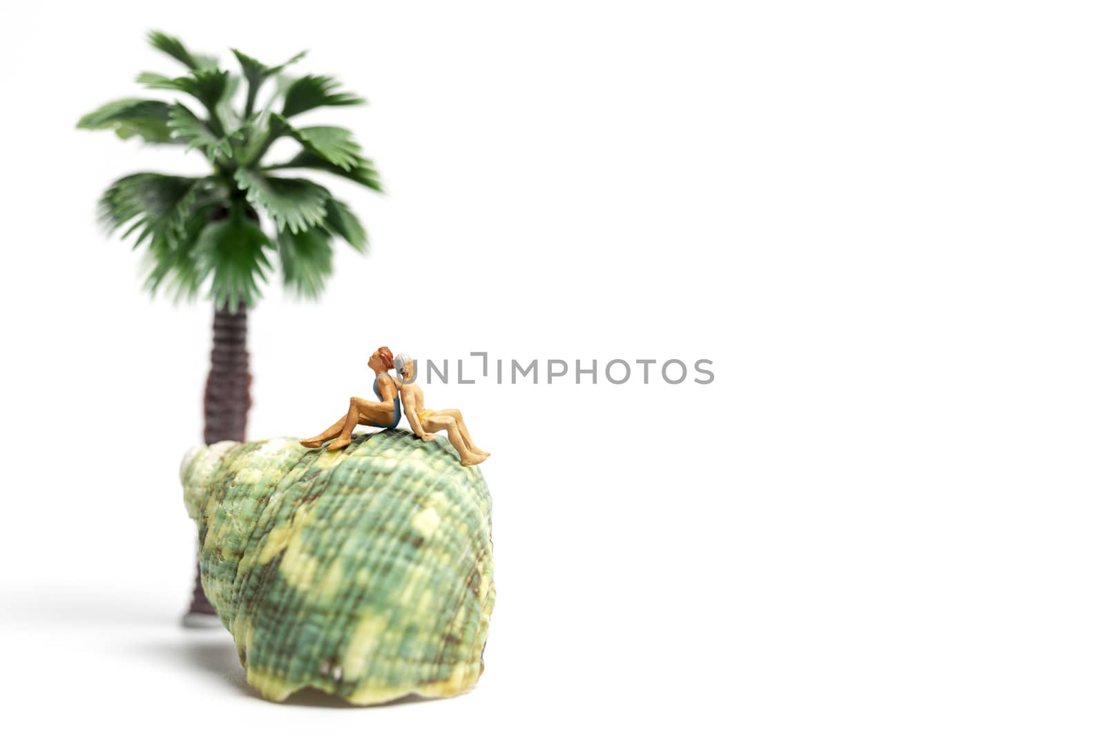 Miniature people  wearing swimsuit relaxing on  seashells  on white background , Valentine's Day concept