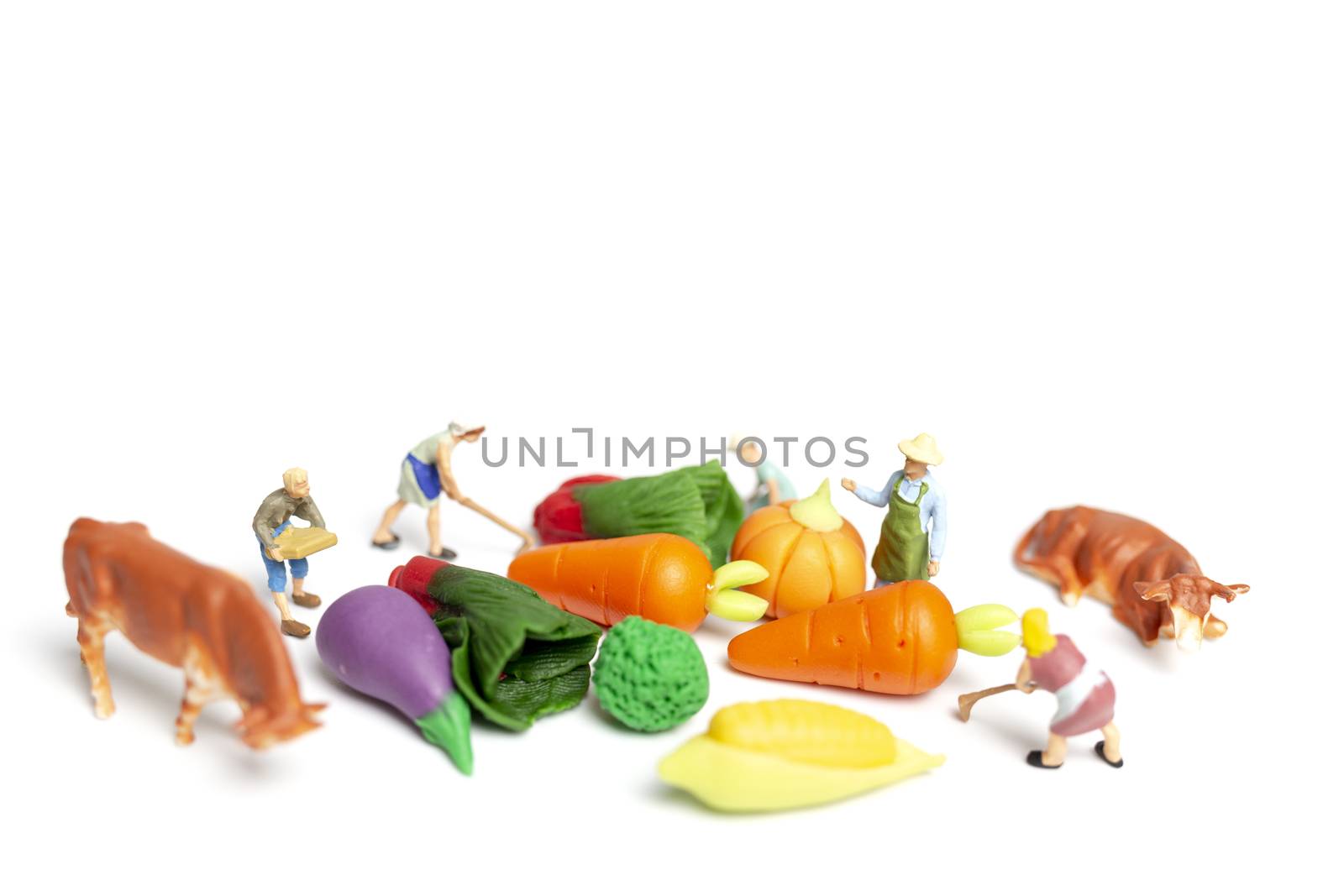 Miniature people : Gardeners Harvesting a vegetables on white background , Agriculture concept 