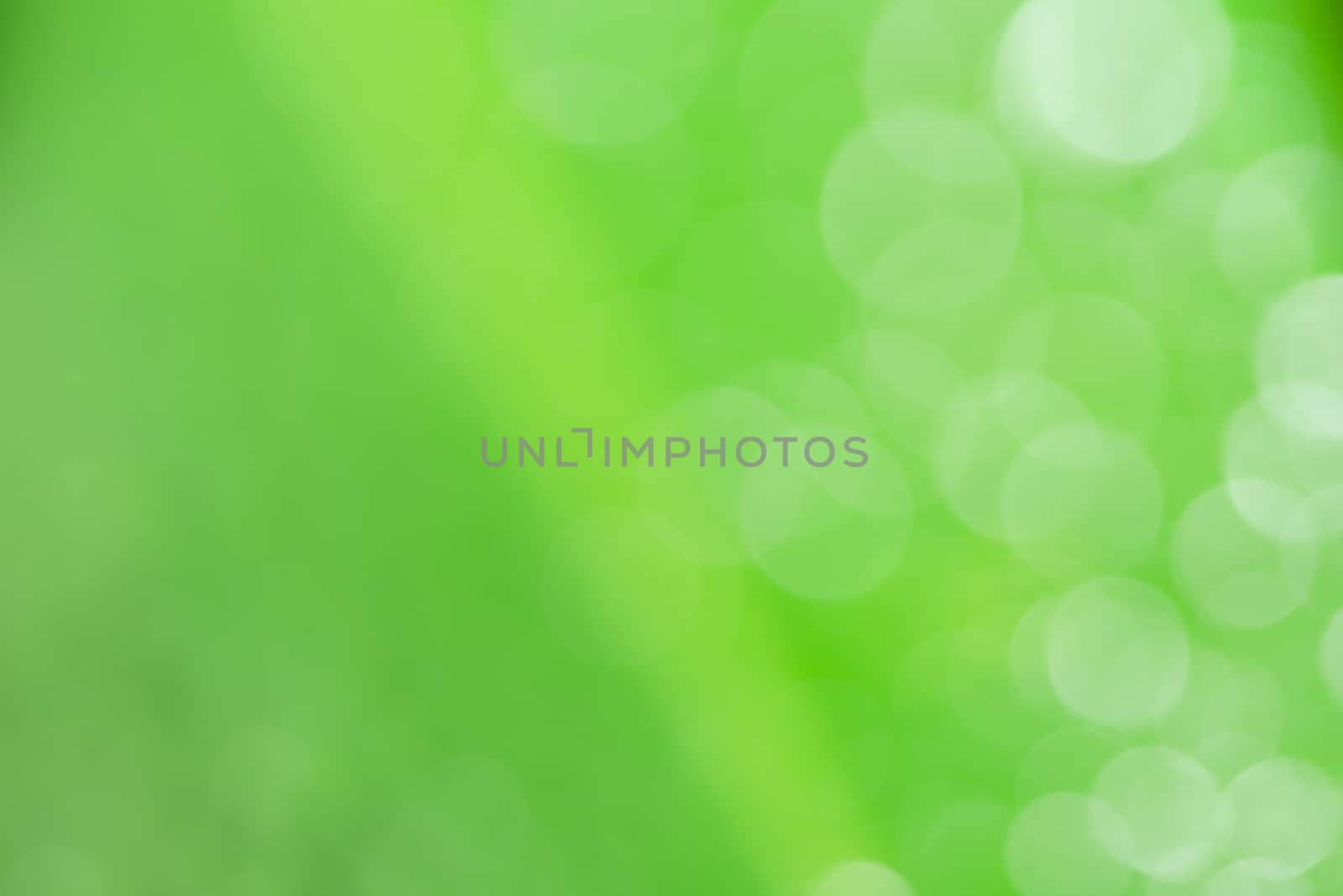 Bokeh circles green background