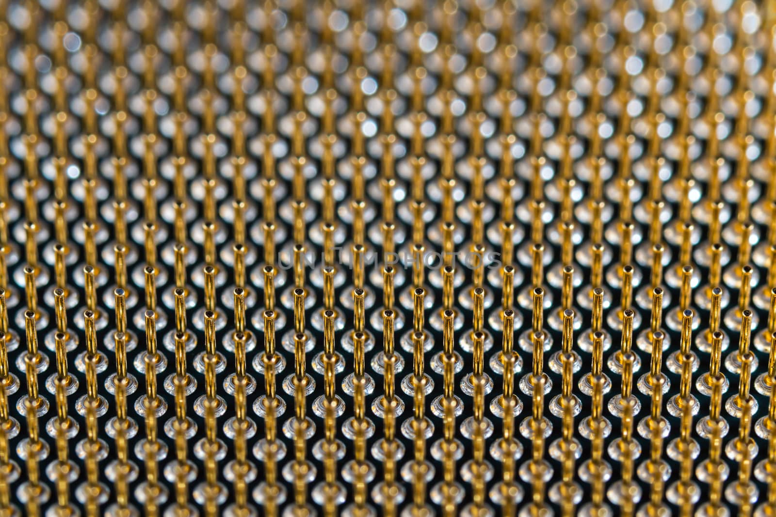 Close-up full frame view of gold plated microprocessor pin array. Abstract electronic technological background with selective focus.