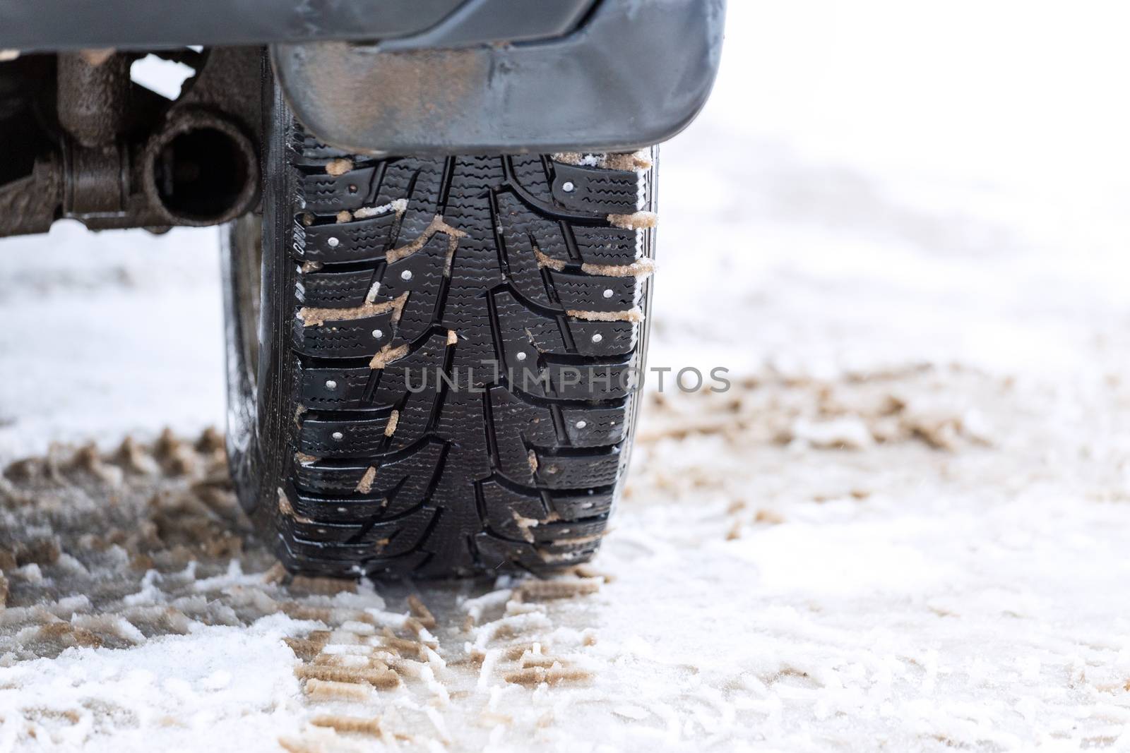 an unadorned picture of winter car wheel with metal spikes on snow close-up.