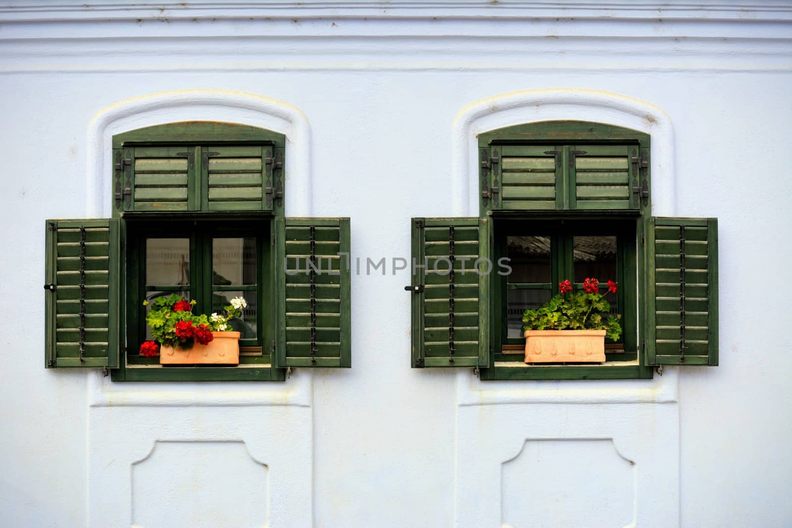 Twin green colored windows with geranium flower decorations.
