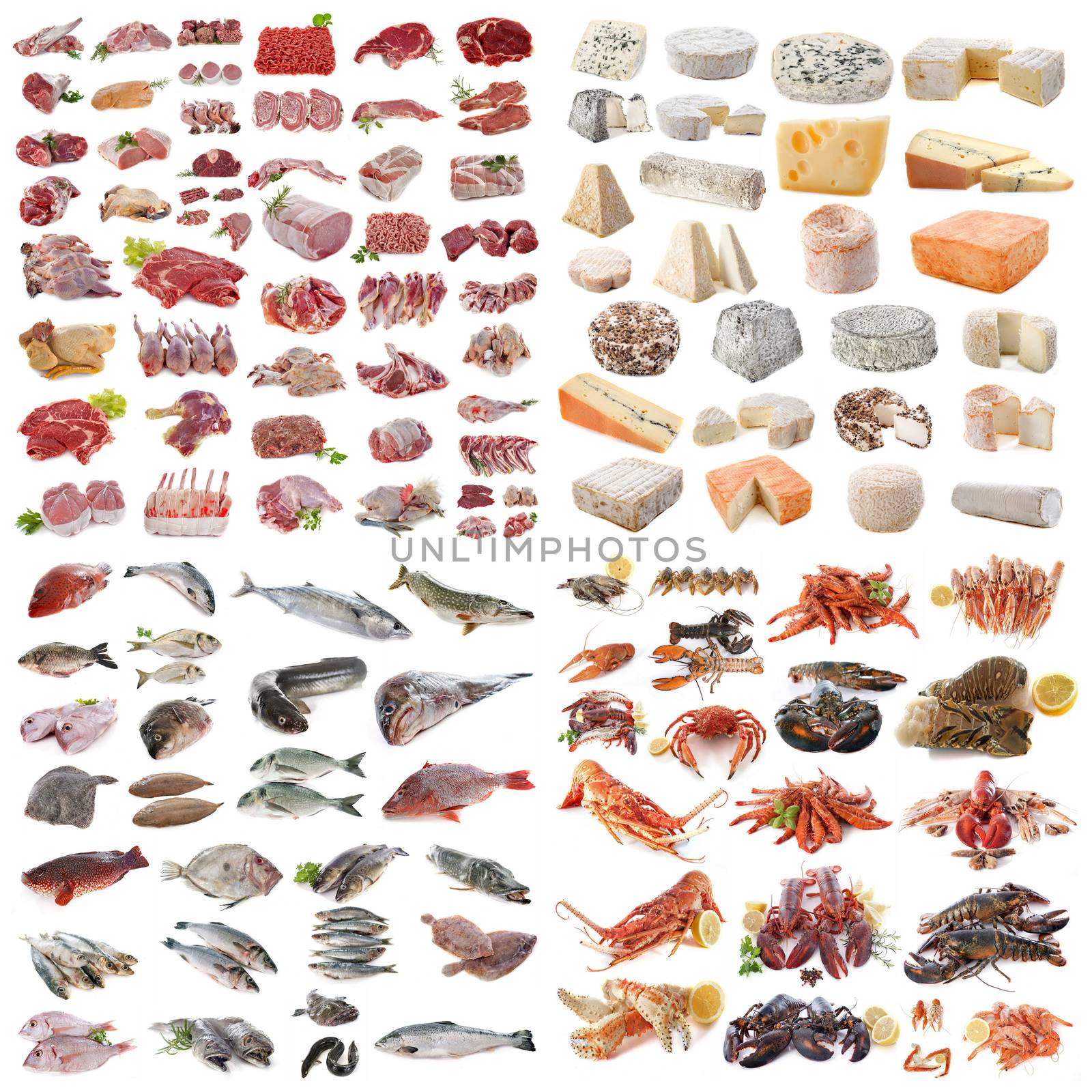 group of food in front of white background