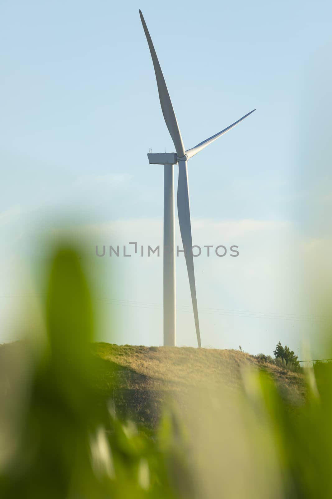 New wind turbines over the corn fields in Aragon, Spain by alvarobueno