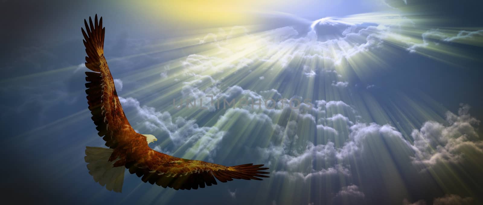 Eagle in flight above the clouds. 3D rendering