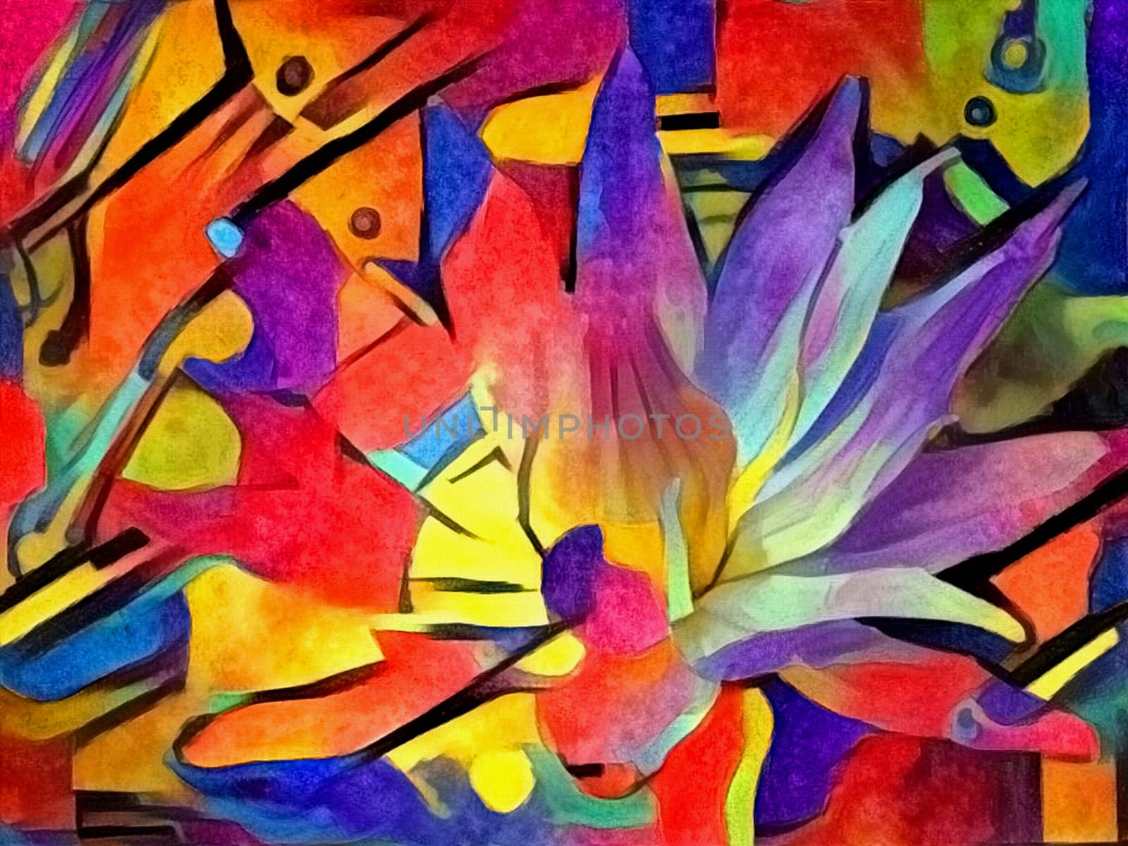 Beautiful lotus flower in vivid hot colors
