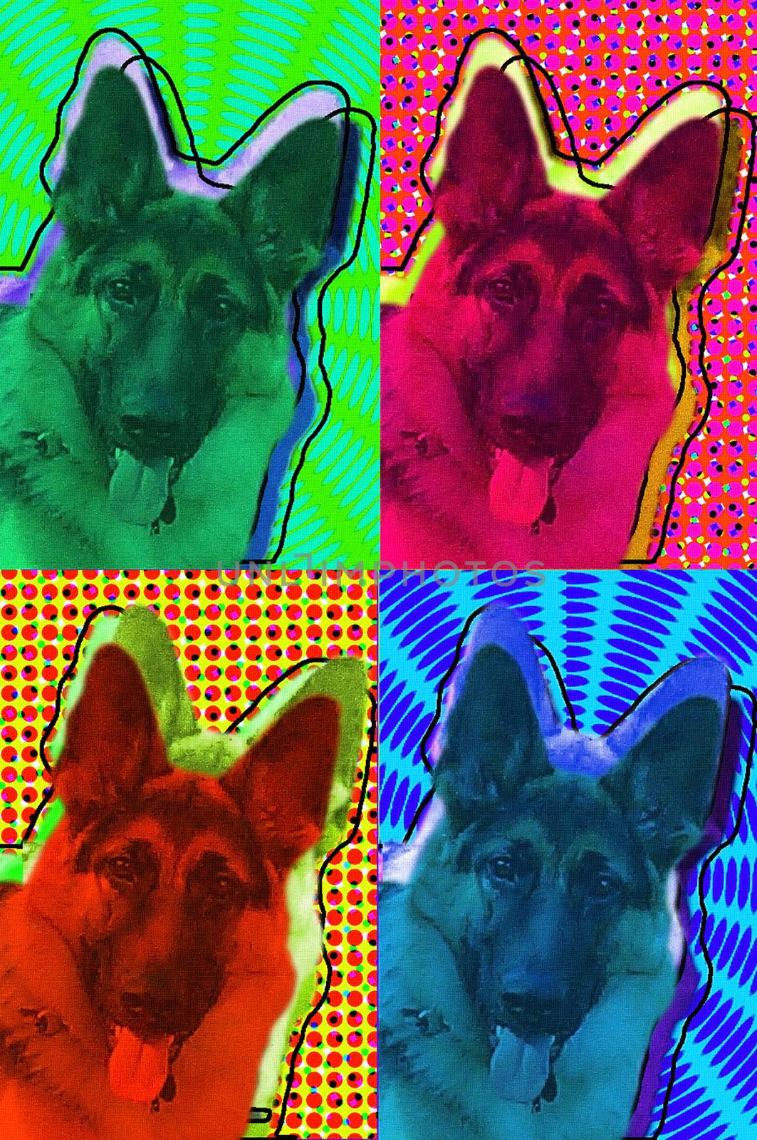 Funny colorful dogs. German shepherd