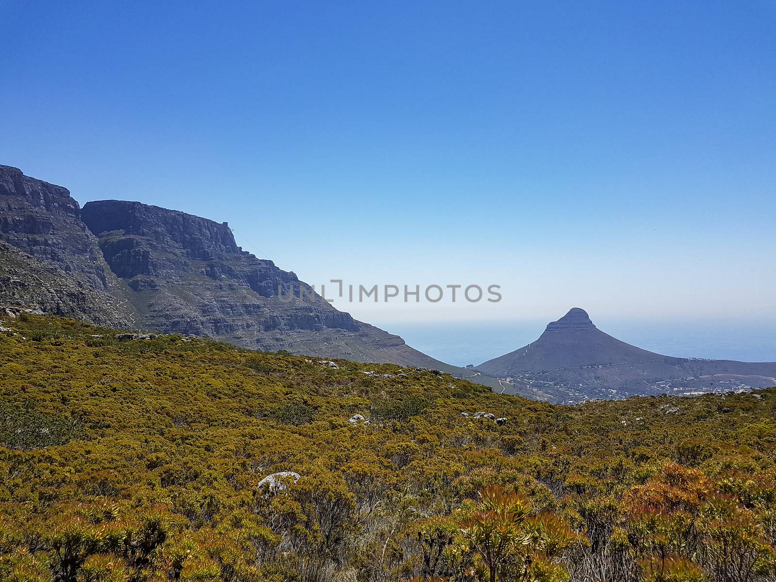 Table Mountain National Park and Lions head in Cape Town. by Arkadij