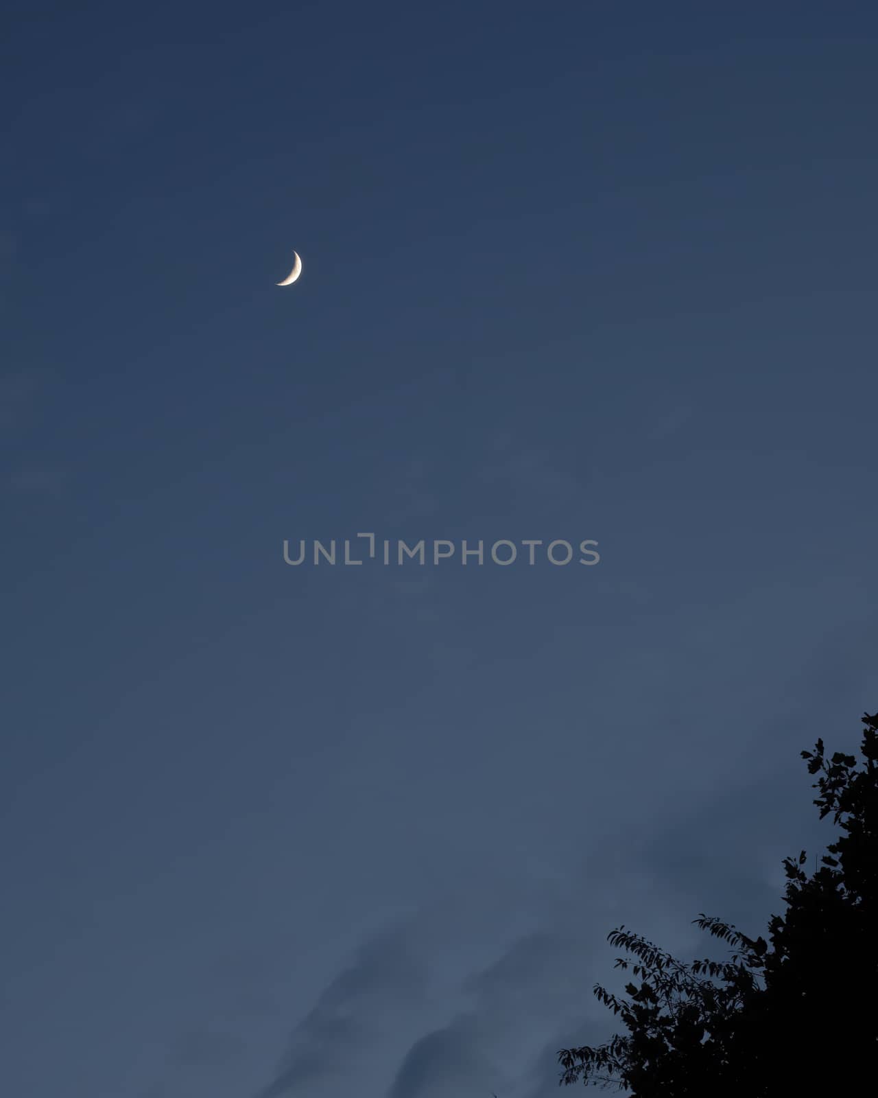 Waxing Crescent Moon over the Treeline by CharlieFloyd