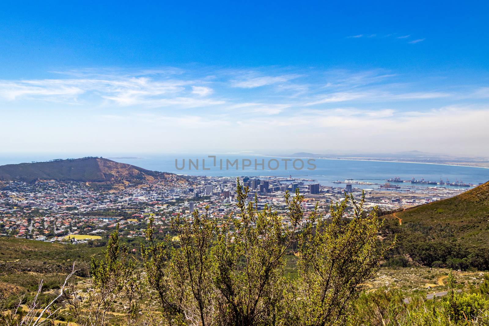 View behind bushes in the wilderness of Table Mountain on Cape Town, South Africa.