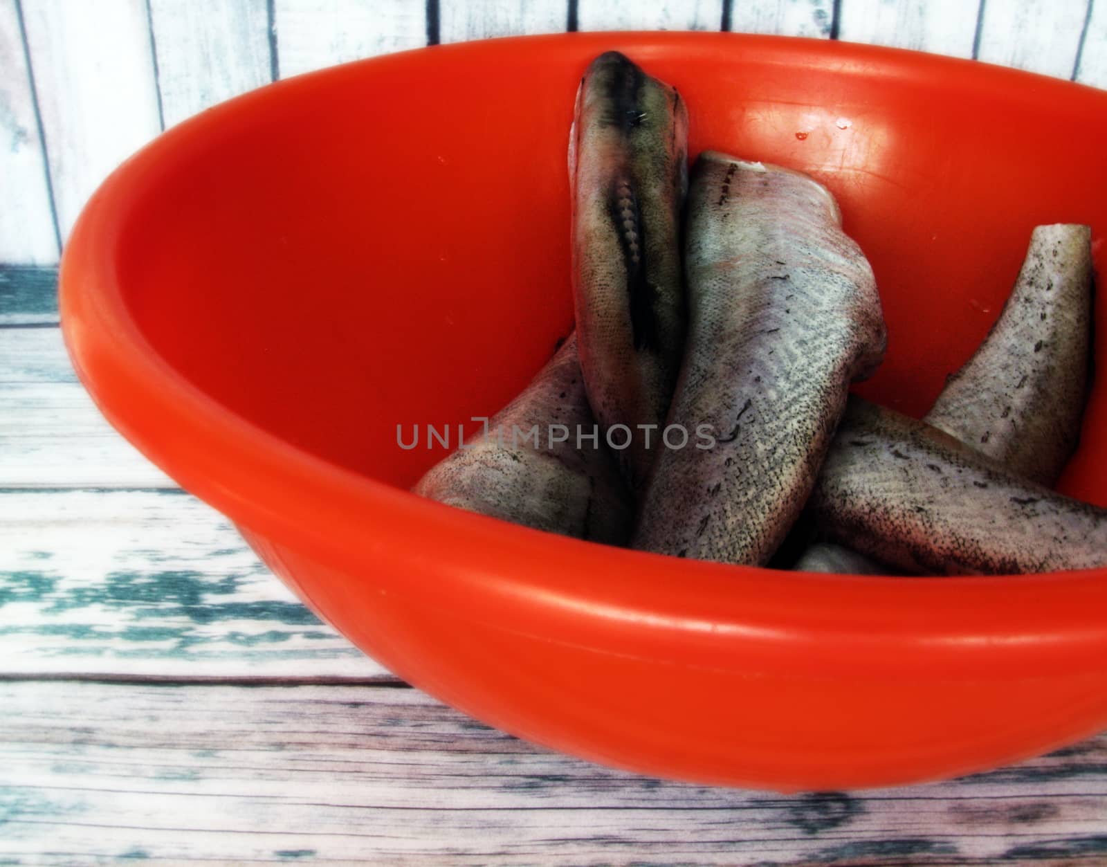 Cleaned fresh sea fish prepared for cooking