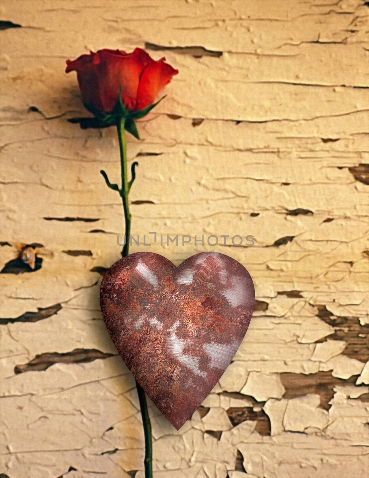Symbolism. Rusted love. Red rose and metal heart