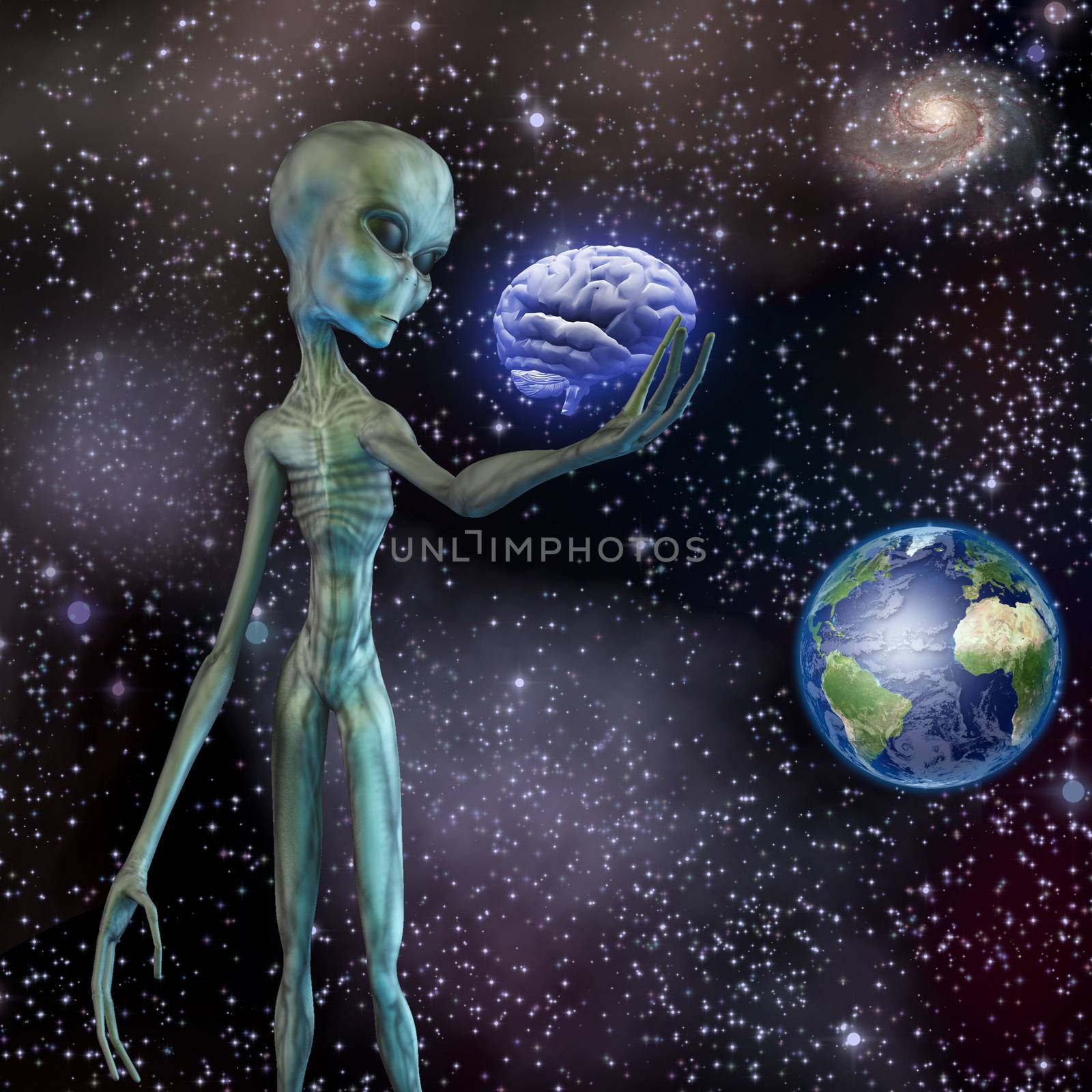 Sci - fi composition. Alien ponders human brain