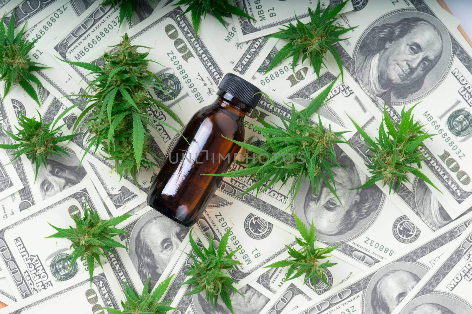 cannabis with cannabidiol (cbd) extract on hundred dollar banknote