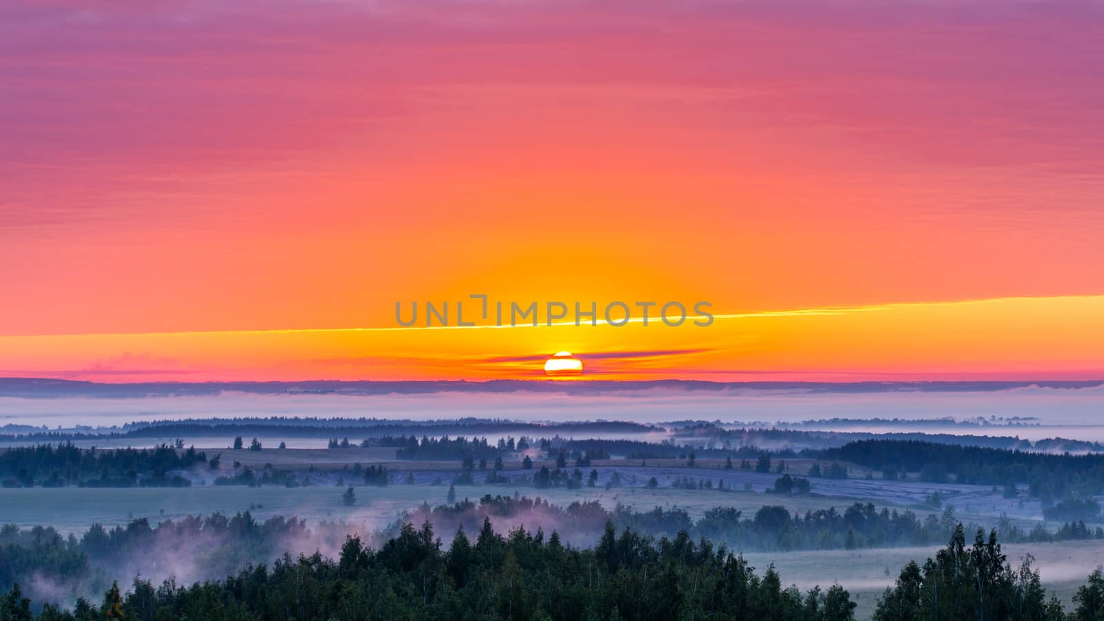 foggy flatland riverside at summer sunrise with trees in foreground - centered composition