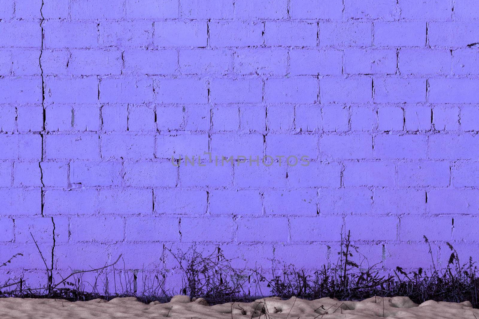 violet plaster rough brick wall texture under direct sunlight with snow and dry gasss under