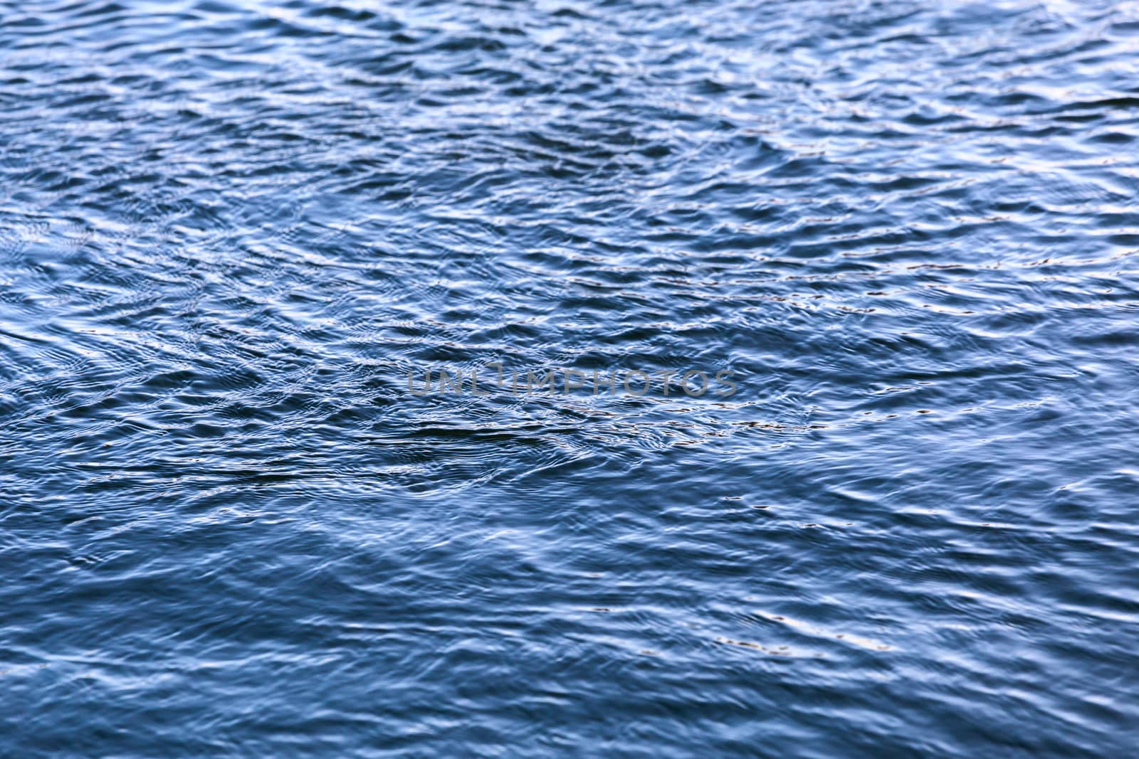 abstract water surface closeup with small plain ripples and selective focus.