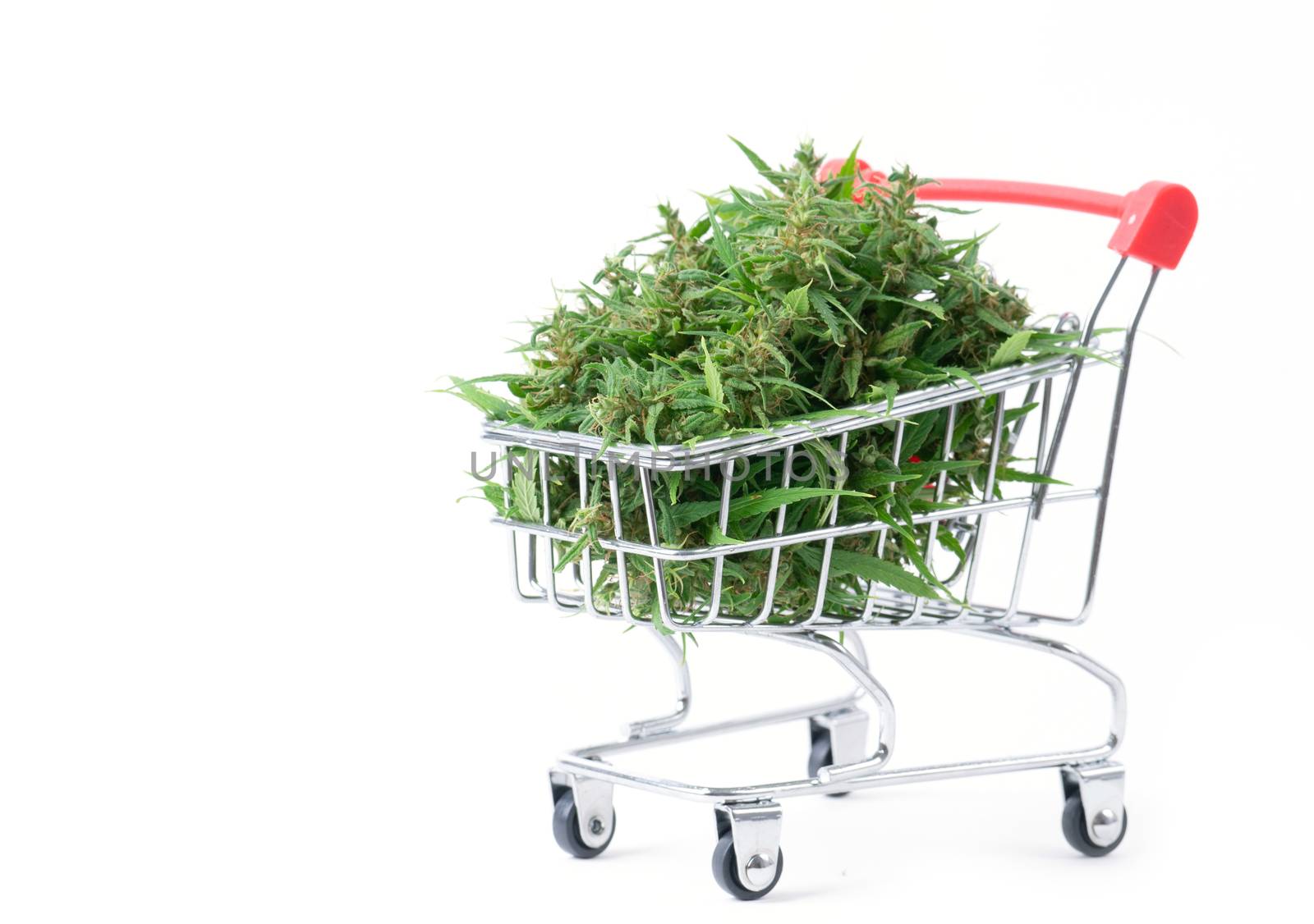 fresh marijuana flower in shopping cart isolated on white background